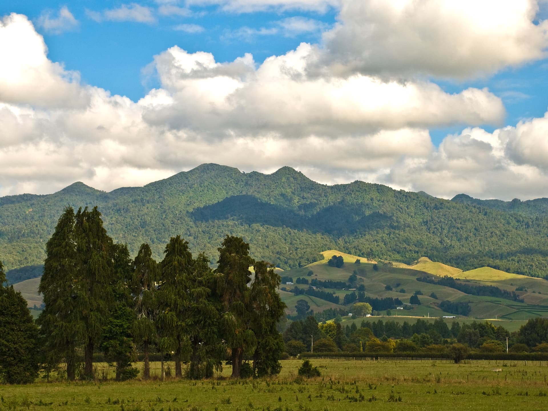 Mount Pirongia