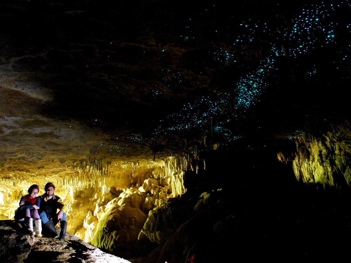 Waitomo glow worm caves